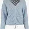 Hailys Feinstrickpullover Pullover Tani Frauen Hellblau