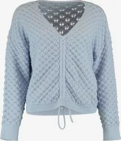 Hailys Feinstrickpullover Pullover Tani Frauen Hellblau